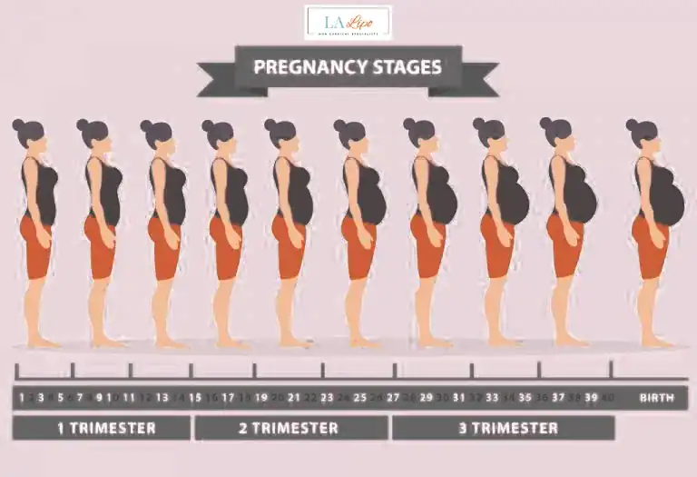 First Trimester (Weeks 1–12): Early Changes You Might Not Notice Streatham
